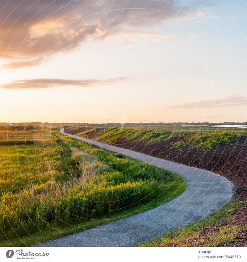 No way too far Lanes & trails Landscape Dike coast Summer Grass Clouds Grassland Sunset Light Promenade Relaxation Nature tranquillity Idyll Future Horizon