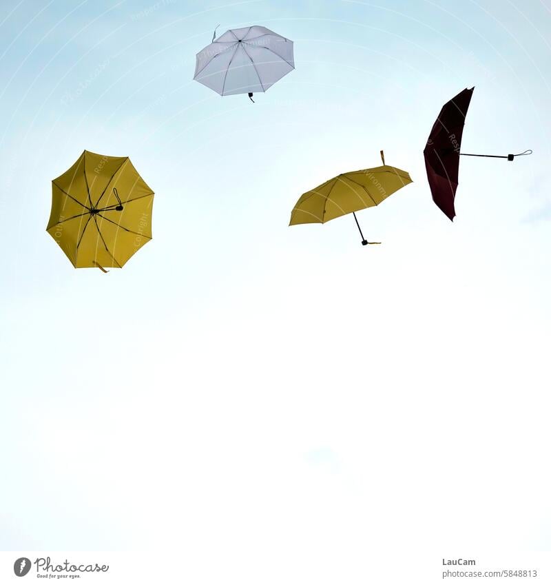 UT Leipzig - bright to cloudy | flying umbrellas Umbrellas Flying in flight in midair Freedom Sky in heaven Airy Above weightless Weightlessness