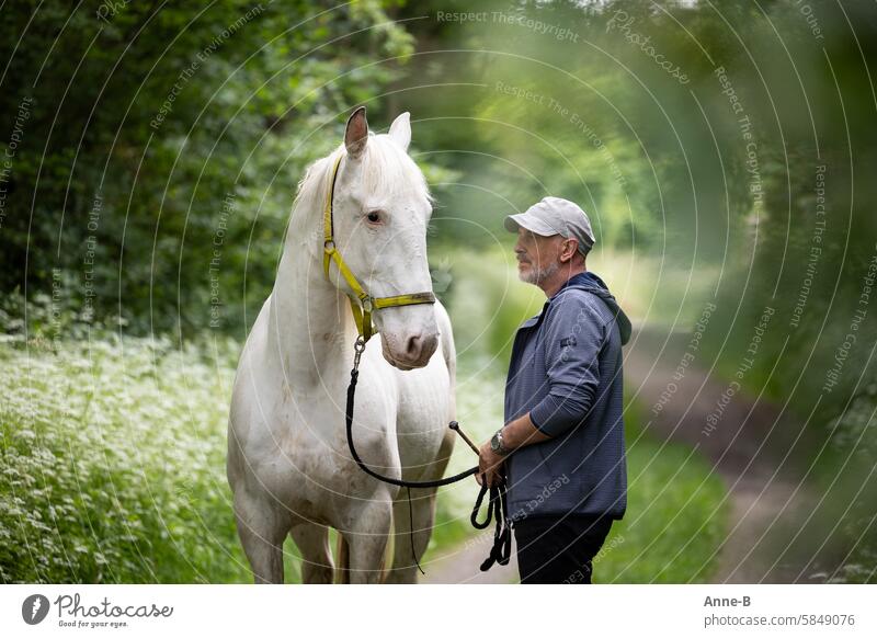 a man with a beard has a serious word with his white horse on a green forest path Horse whiteborn Knabstrupper Animal Communication Body language workout