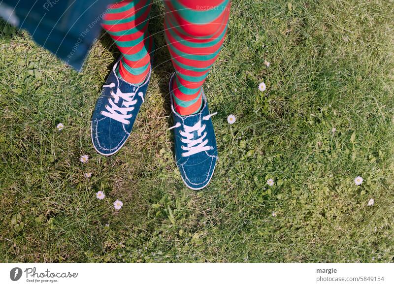 Fixed stand: female legs with colorful stockings stand on a daisy meadow Meadow Legs feet Exterior shot Summer Woman sneakers Lawn Daisy Red Green Blue