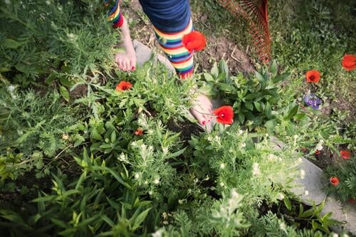 frayed |poppy flowers in the bed Garden Bed (Horticulture) Plant Feet on the ground Woman Jeans jeans Toes Nail polish Prismatic colors Feminine feet Barefoot