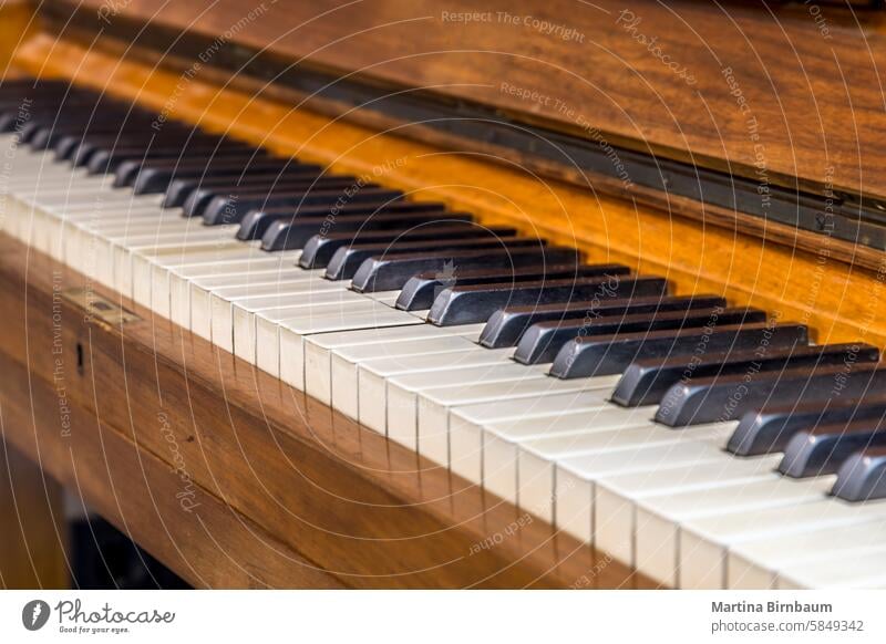Close up of ivory and ebony keys on an old piano performance music instrument concert classical black keyboard play art harmony melody acoustic sound jazz
