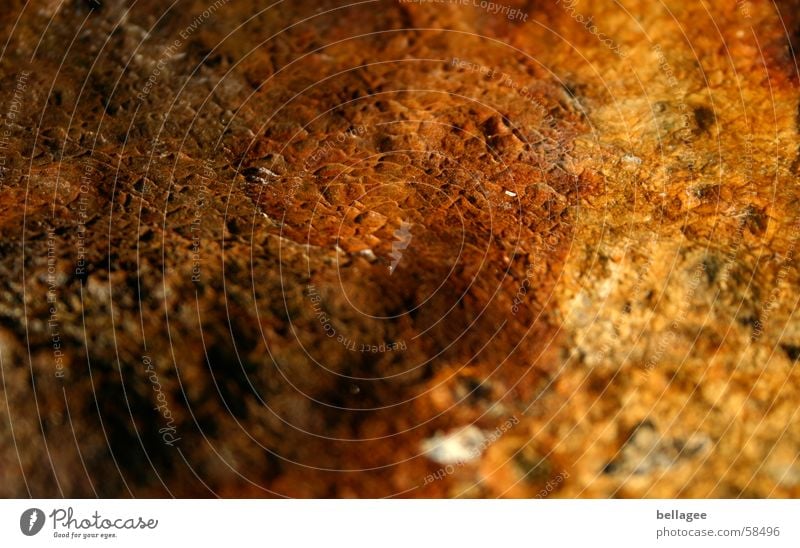 bark Tree bark Brown Surface Structures and shapes