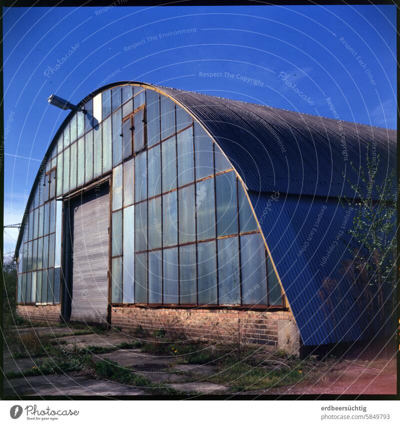 Empty warehouse with a glass barrel roof on a derelict site against a blue sky Storage Hall Round Glass Blue Fallow land FALLOW LAND Vacancy standstill Feral