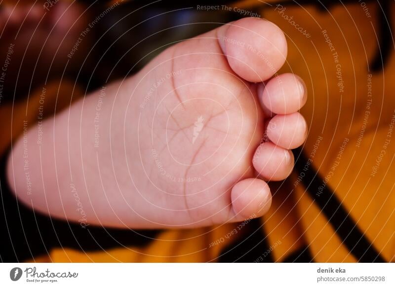 Close Up baby Feet bath body born care caucasian child childhood closeup comfort cute daughter delicate detail family finger foot happy health healthcare