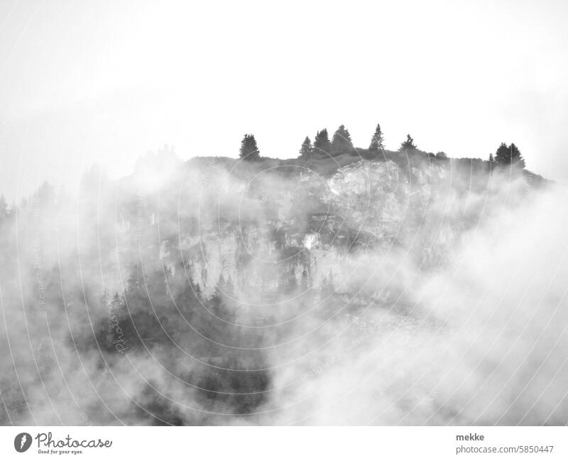 Misty mountains Mountain Peak Clouds Landscape Sky Rock Alps Nature Environment Hiking Tourism Fog Cloud forest trees Tall Hill sight Visibility