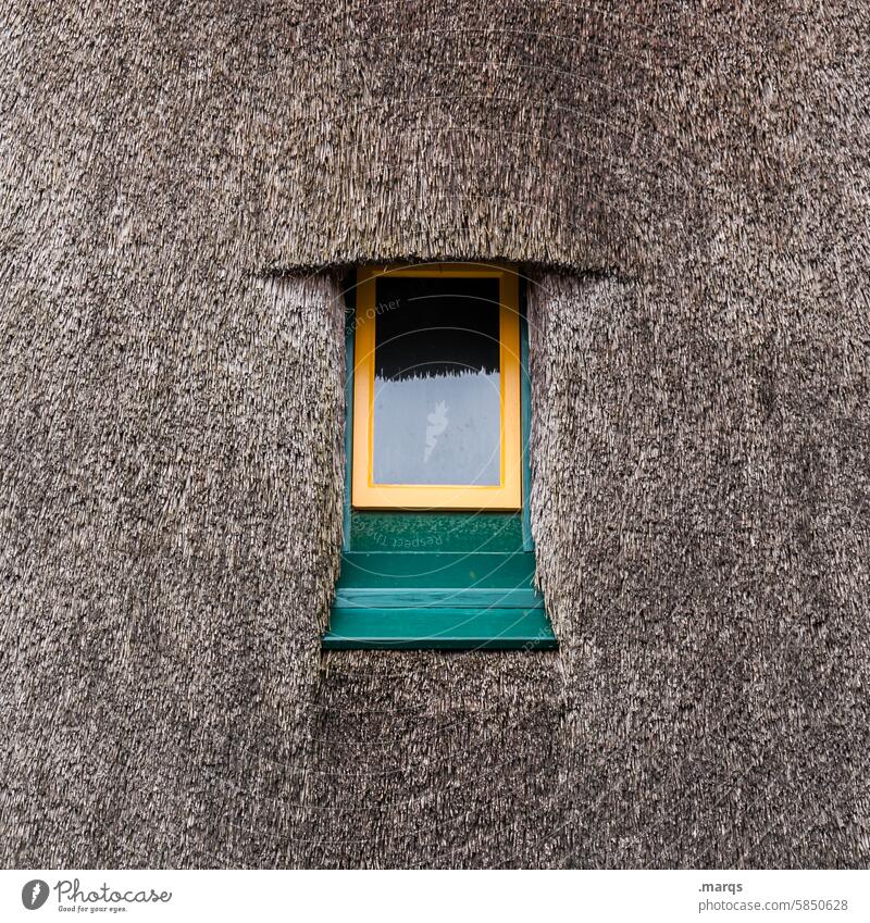 rustic Structures and shapes Reet roof Brown Old Roof Window Thatched roof house Accommodation Historic Rustic Close-up