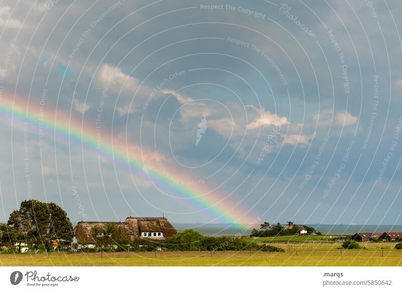 Rainbow on the mudflats Happy Weather Sky Environment Natural phenomenon Multicoloured Climate Moody Clouds Nature Landscape House (Residential Structure)