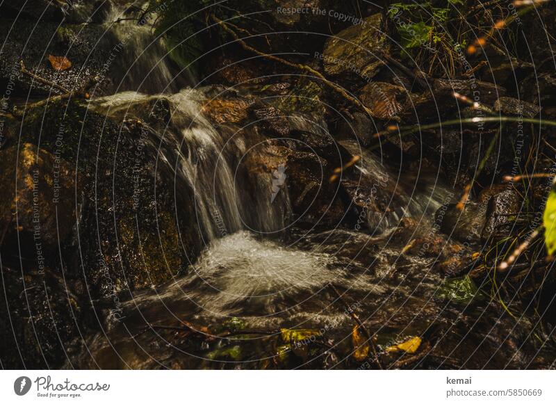 Small waterfall Water Brook Waterfall pretty Flow Idyll Long exposure Dark