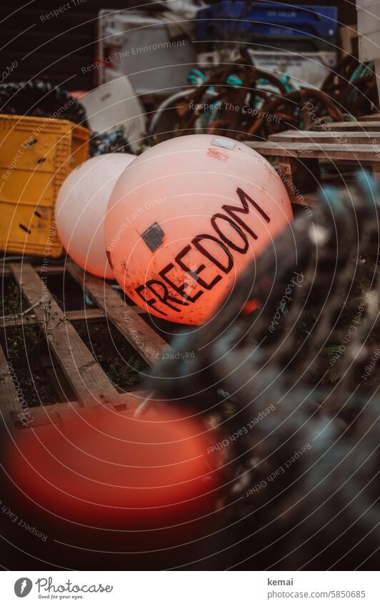 freedom Word Freedom Buoy Harbour Net Old utilised Exterior shot Colour photo coast Deserted Orange Round Message