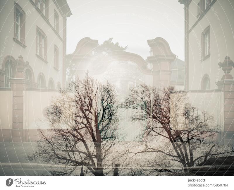 karlsruhelos .... bare trees meet old gate Goal Old Double exposure Silhouette Illusion Reaction Experimental Wall (barrier) Dream world differently Environment