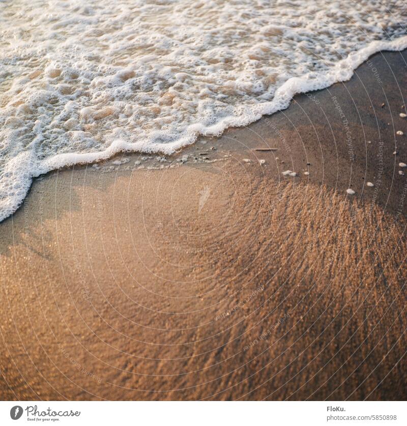 Wave on the beach in Kodak Gold wave Beach Ocean Sand Water Waves Relaxation Vacation & Travel coast Nature Summer Tourism vacation Summer vacation Colour photo