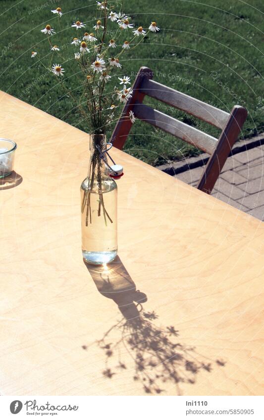 One free place left sunshine Agriculture out hope flower decoration hearty Adequate Table Wooden table Appealing Free space Chair Bottle of water clip-on bottle