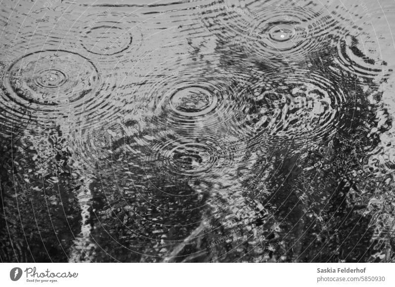 Raindrops - monochrome raindrops Water weather climate dark storm Drops of water ripples circles pattern Nature Environment climate change Weather