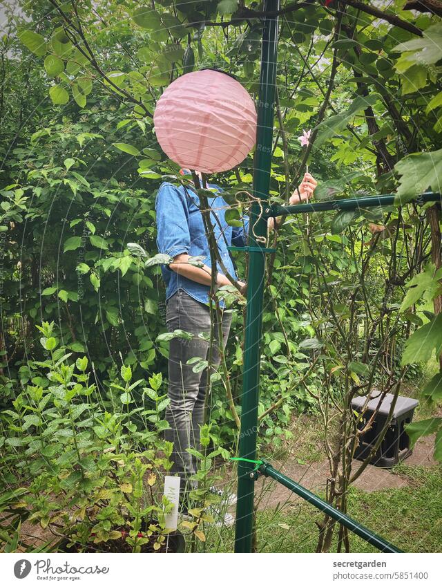 natural wonder Woman Garden Garden plot Funny Humor Lampion Anonymous gardener do gardening Nature Experiencing nature Miracle of Nature Love of nature