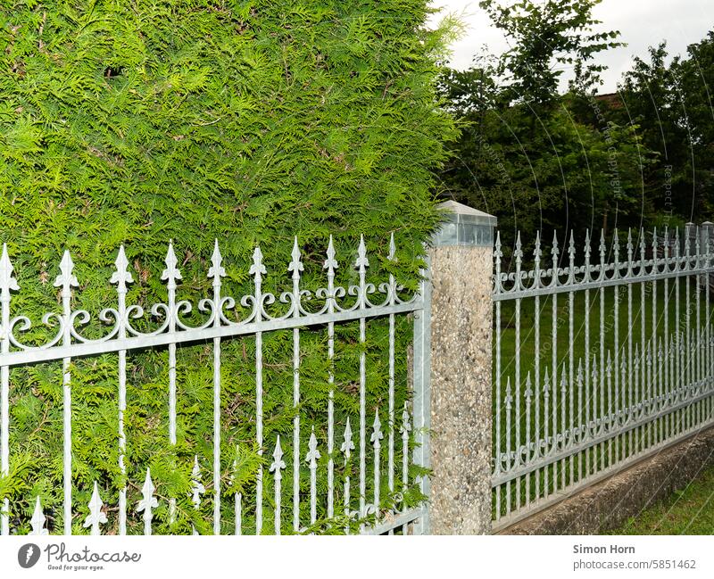 Metal fence with hedge Metalware Hedge Screening Private sphere Real estate Border neighbourhood Fence Garden Neighbor Side by side Line tranquillity secluded