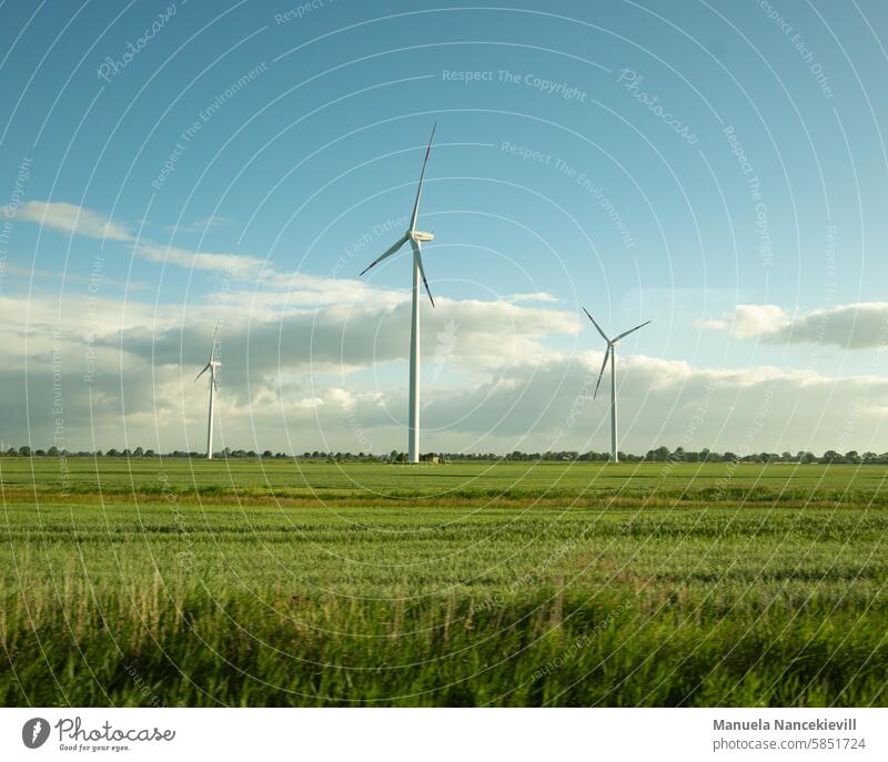 Dithmarsch summer landscape Summertime Nature Green Field Grass Landscape Meadow Rural Outdoors Environment wind energy Calm Peaceful Picturesque country