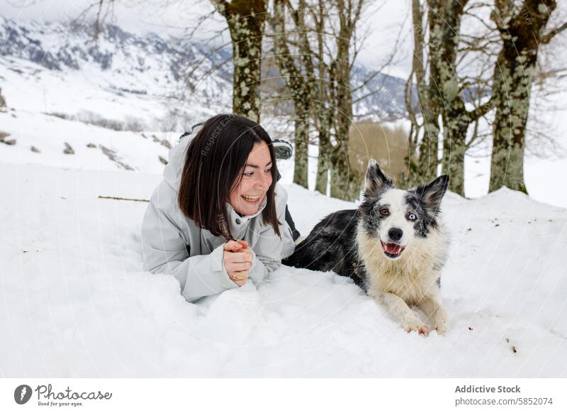 Woman and Border Collie Blue Merle Lying in Snowy Forest woman snow winter forest trees mountain smiling playful interaction lying pet dog outdoor landscape joy
