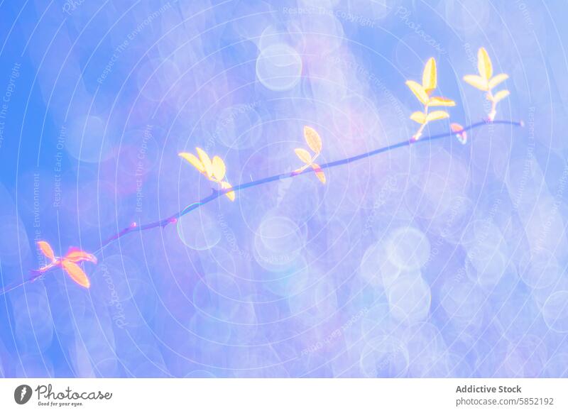 Ethereal foliage against a dreamy backdrop of light nature leaf bokeh ethereal twig vibrant illustration soothing background delicate abstract art blur branch