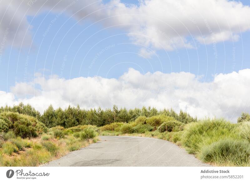 Winding road amidst lush countryside landscape winding path green shrubs sky clouds serene nature scenic tranquil vibrant travel journey asphalt rural outdoors