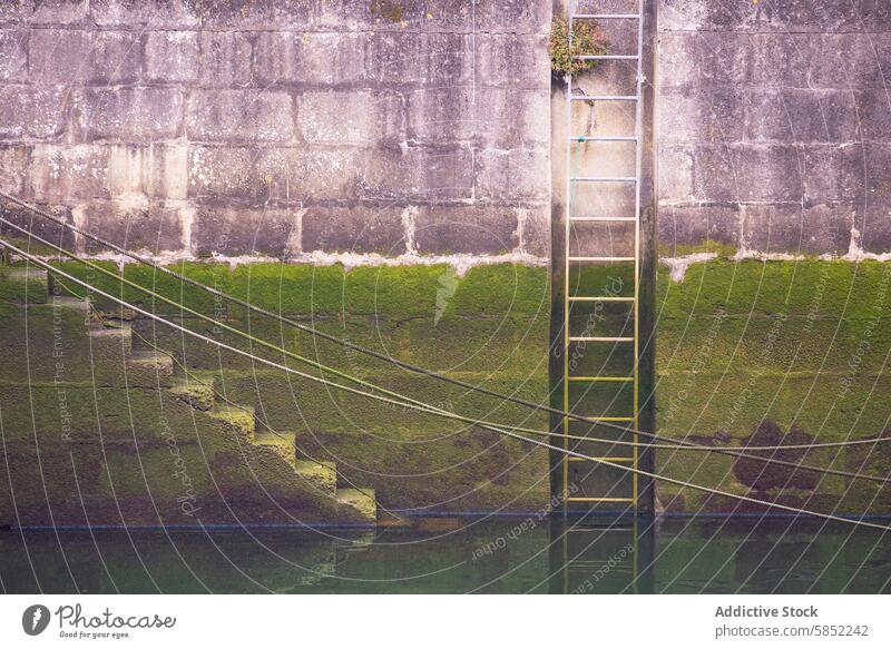 Weathered Dock Ladder and Stairs at Port of Viavélez, Asturias port dock ladder stairs wall stone metal moss algae rope water reflection old vintage maritime