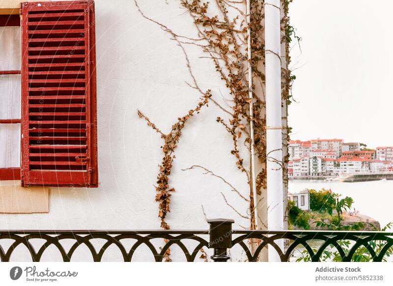 Coastal Town View Through a Window with Vines window vine coastal town view scenic summer landscape nature illustration climbing plant architecture outdoor