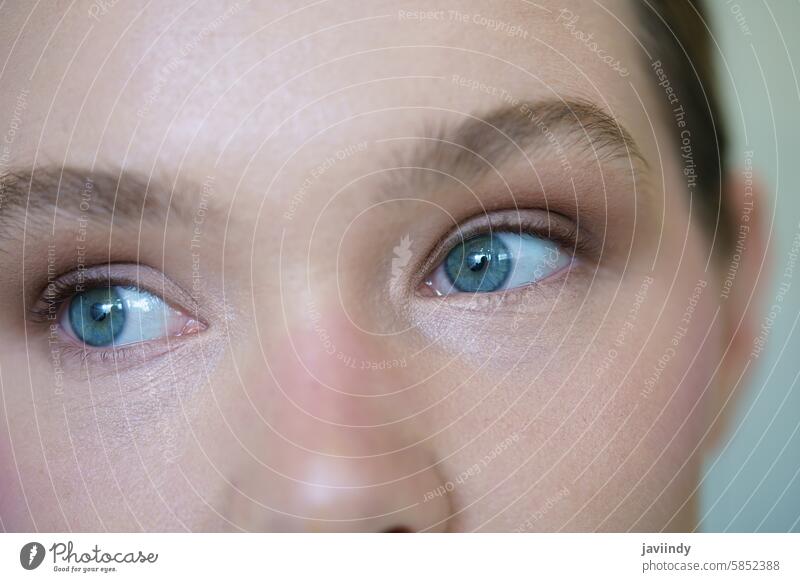 Close-up of the blue eyes of a blonde woman caucasian close-up adult beautiful woman human gentle modern pensive elegant eyeball gaze coiffure shy female