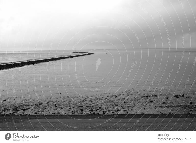 The Wadden Sea World Heritage Site with coastal protection on the North Sea coast at the port of Norden near Norddeich in East Frisia in Lower Saxony, photographed in neo-realistic black and white