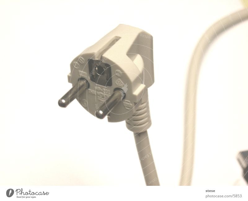 current snake Electricity Connector Connection Socket Electrical equipment Technology Cable extension cord Power plug