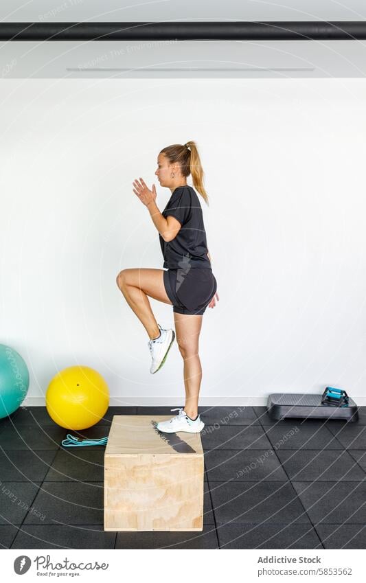 Woman performs high-intensity workout in modern gym setting woman exercise fitness health active sport athletic strength stamina training jump agility dynamic