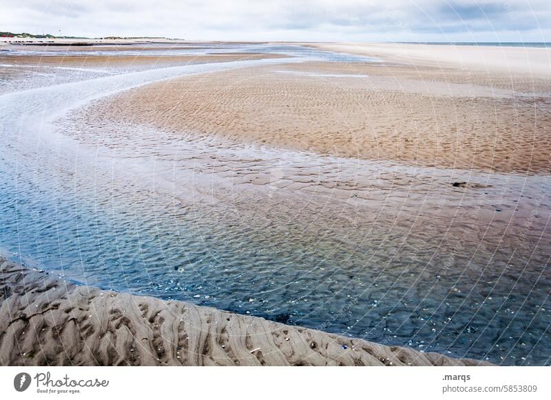 tideway Tide North Sea coast Sky Sand Horizon Low tide Beach Ocean Water Nature Mud flats Tideway Structures and shapes