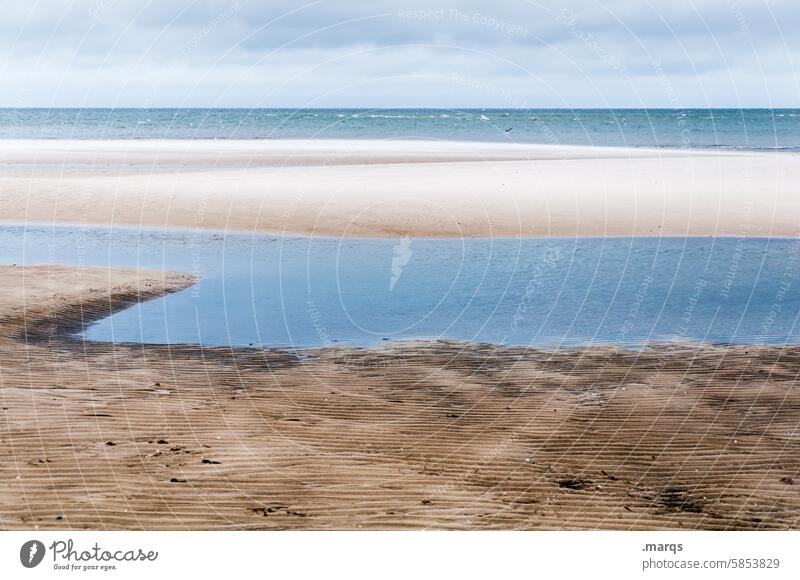 tideway Tideway North Sea coast Mud flats Nature Water Ocean Beach Low tide Horizon Sand Sky