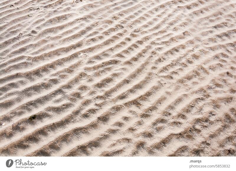 seabed Bottom of the sea Structures and shapes Pattern Detail Sand coast Low tide Undulating Beach Beautiful weather Environment Ground Wavy line North Sea