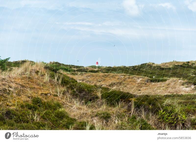 Hidden lighthouse North Sea coast Clouds Beautiful weather Summer vacation Tourist Attraction Landscape Horizon Vacation & Travel Nature Meadow Sky Lighthouse