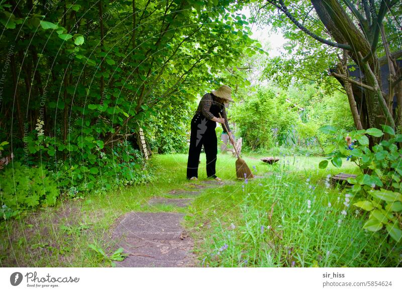 [HH Schregatour24] Handover: Swept clean shrub ground perspective Garden leaves Green centred Broom broom-clean