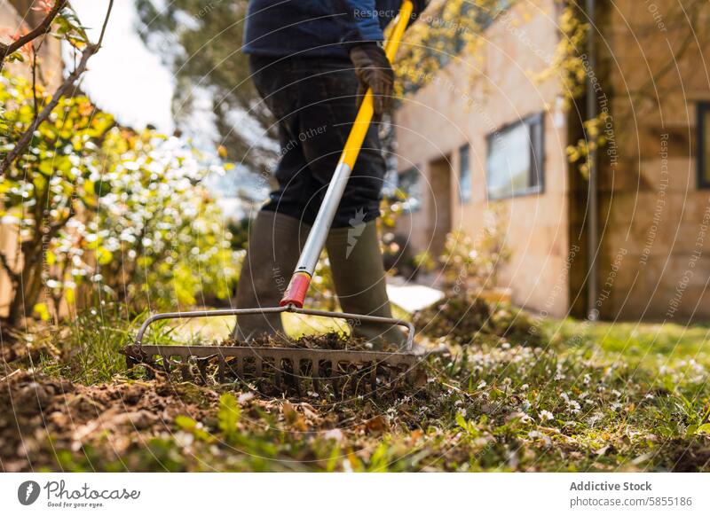 Homeowner raking fallen leaves in garden during fall season rake homeowner gardening outdoor maintenance yard boots jeans work residential lush background