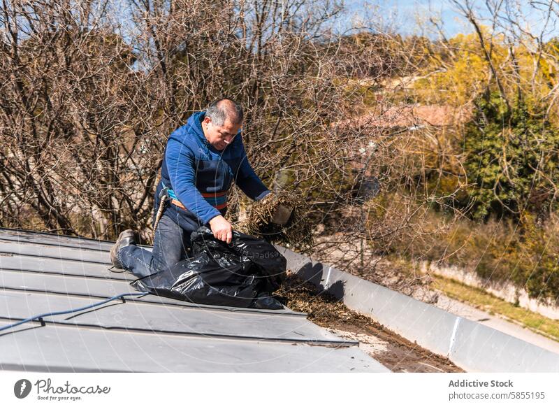 Man cleaning leaves off roof, a chore in suburban setting man autumn safety harness casual maintenance outdoor work diligent environment task labor effort