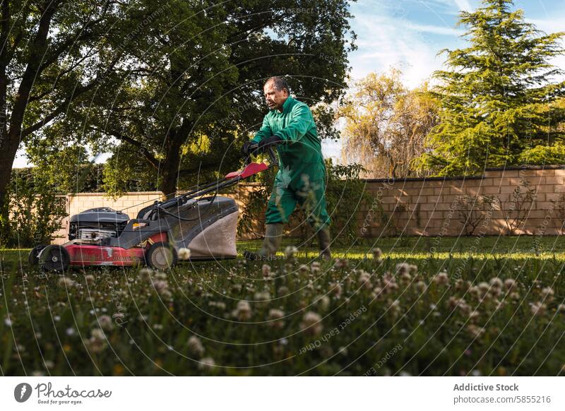 Man mowing the lawn in a sunny garden man green uniform work outdoor nature tree grass mower daisy wall lawn care gardening maintenance spring summer sunlight