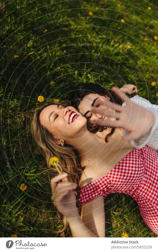 Joyful friends relaxing together in a sunny park joy laughter grass happiness woman smile outdoor summer leisure day fun bonding cheerful youth lying down green