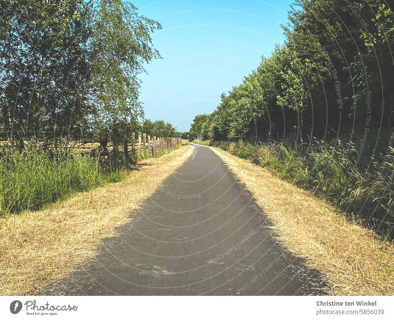 summer day cycle path off Cycle path mown grasses Summer Clouds Promenade Cycling Beautiful weather Dry scythed Grass Nature Loneliness free time tranquillity