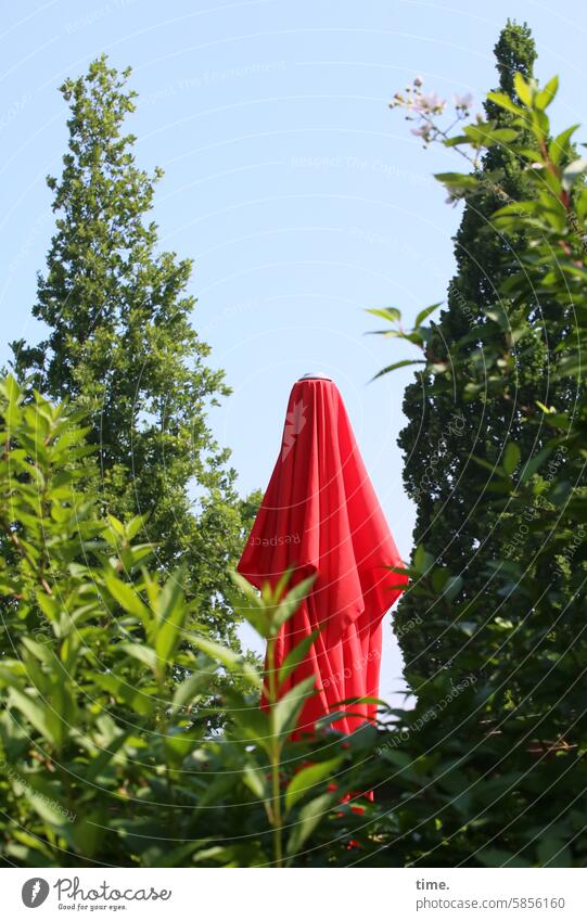 Lost Land Love IV - Diversity trees Sunshade Red Green Sky Park Whimsical Spring sunny shrubby covert Nature Outdoors textile folded unopened Hang plants