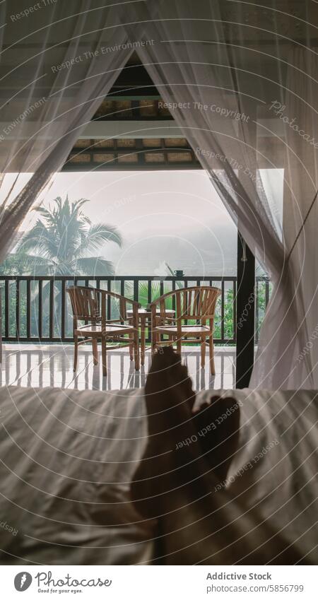 Relaxing Tropical Morning View from a Bed with Canopy Curtains tropical morning view bed canopy curtains balcony wooden chair greenery mist relaxation serene