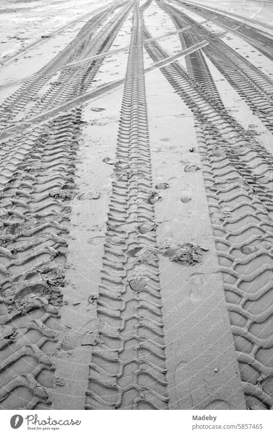 Rough tire tracks in the sand on the beach in Knokke-Heist on the North Sea near Bruges in West Flanders in Belgium, photographed in classic black and white