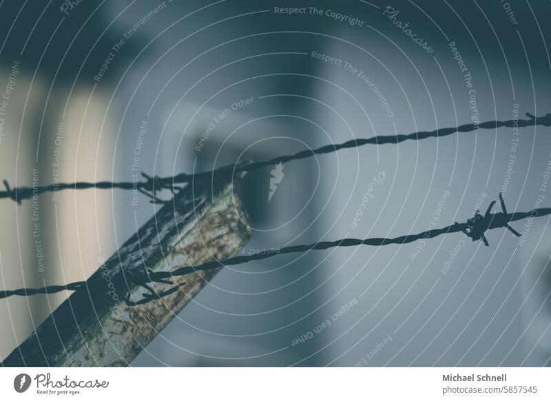 Barbed wire - no access! interdiction cordon Safety Barrier insulation Barbed wire fence Border Fence Threat Captured Protection Dangerous Freedom Wire Fear