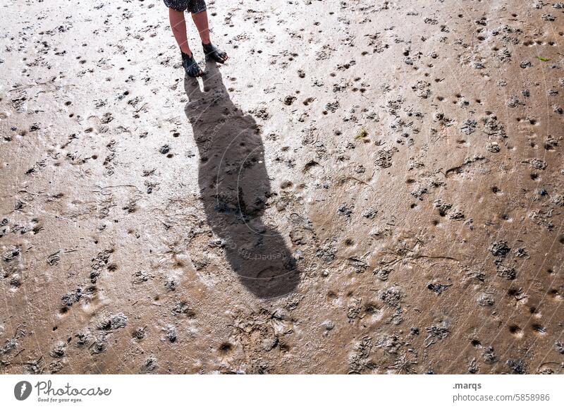 Child in the mudflats Shadow Mud flats Ocean Beach Sand Sun Vacation & Travel Light Summer North Sea Low tide Tracks coast Slick Walk along the tideland Tide