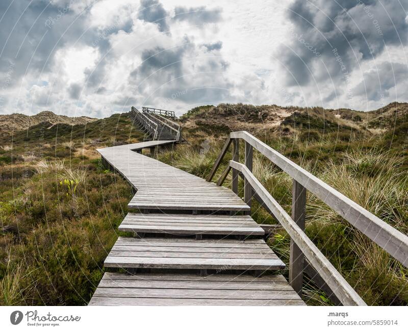 the way up Environment Climate Idyll Sky Relaxation Nature Landscape boardwalk Woodway Amrum Target Vacation & Travel Lanes & trails walkway Nature reserve