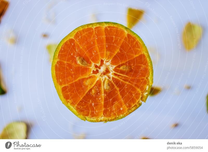 Flat Lay of Half of Orange. Flat Lay With Selective on Orange Fruit. slice half orange tangerine layout overhead flat vitamin juicy horizontal piece part