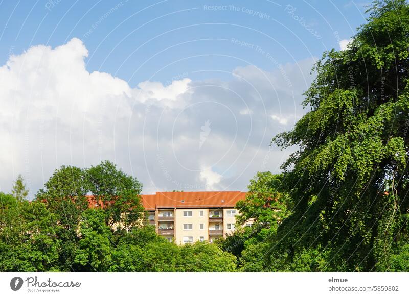 Block of flats surrounded by green deciduous trees block of flats dwell living in the green Deciduous tree fair weather clouds Balcony Tiled roof Window