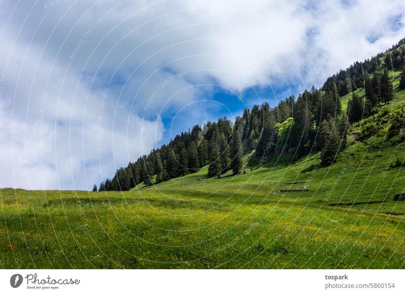 Appenzellerland with trees firs mountains Forest Meadow Clouds Hiking free time Alpstein Switzerland Summer cloudy Nature Sky Exterior shot Mountain Landscape