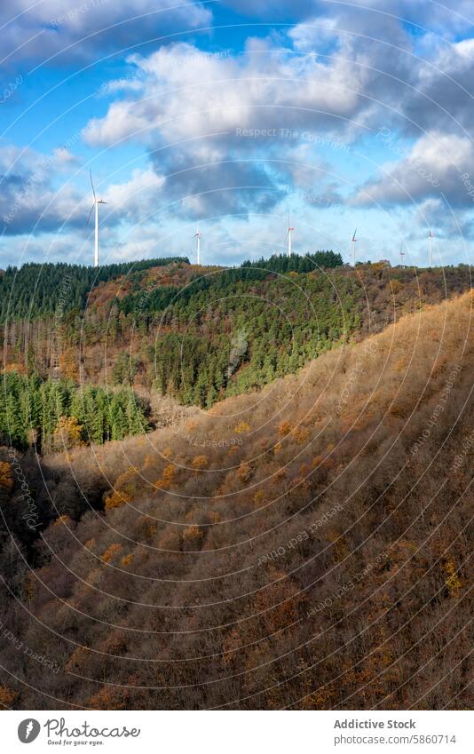 Autumnal forest with wind turbines in the hills at Schwansee Lake autumn schwansee lake fussen germany tree fall color landscape energy renewable cloud sky